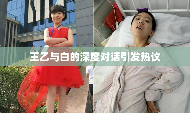 王乙与白的深度对话引发热议