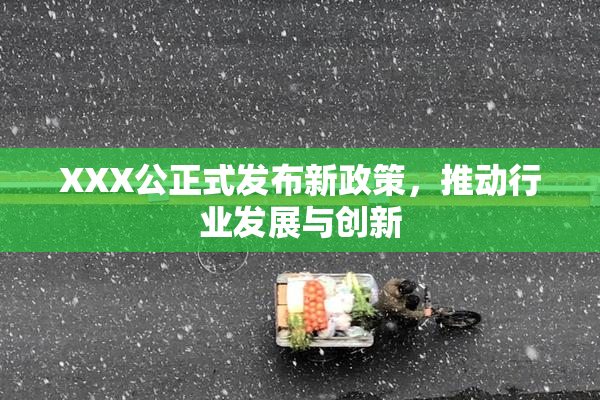 XXX公正式发布新政策，推动行业发展与创新