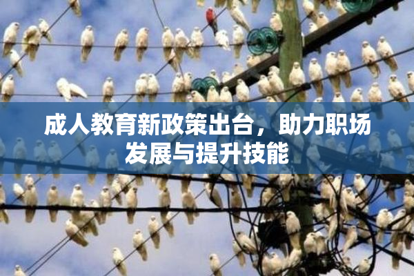 成人教育新政策出台，助力职场发展与提升技能
