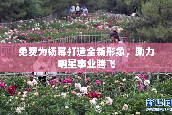 免费为杨幂打造全新形象，助力明星事业腾飞