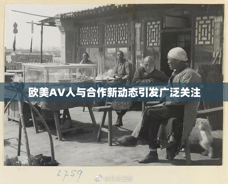 欧美AV人与合作新动态引发广泛关注