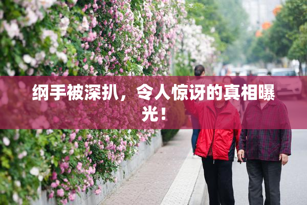 纲手被深扒，令人惊讶的真相曝光！