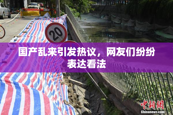 国产乱来引发热议，网友们纷纷表达看法