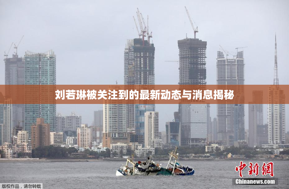 刘若琳被关注到的最新动态与消息揭秘