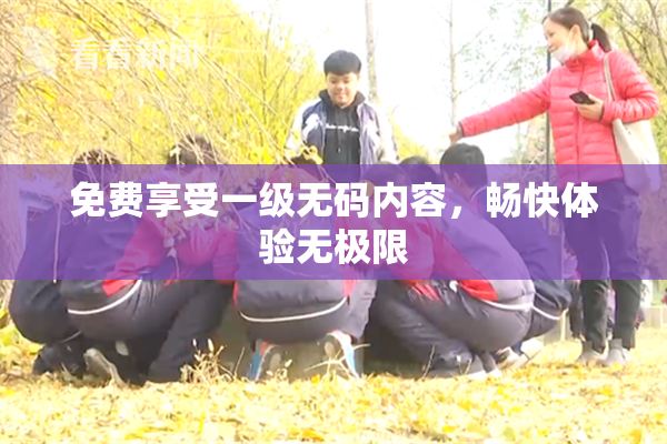 免费享受一级无码内容，畅快体验无极限