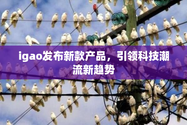igao发布新款产品，引领科技潮流新趋势