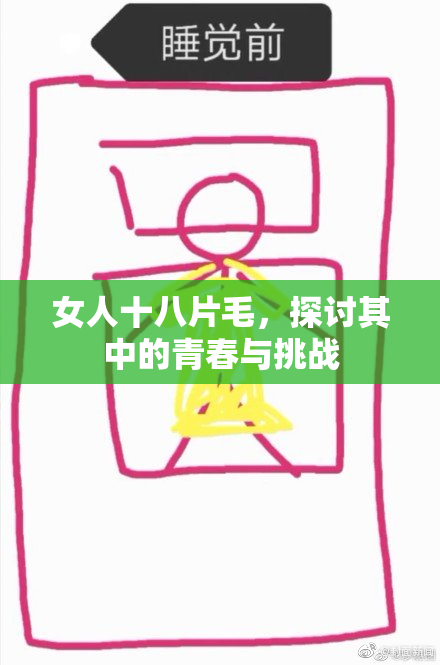 女人十八片毛，探讨其中的青春与挑战