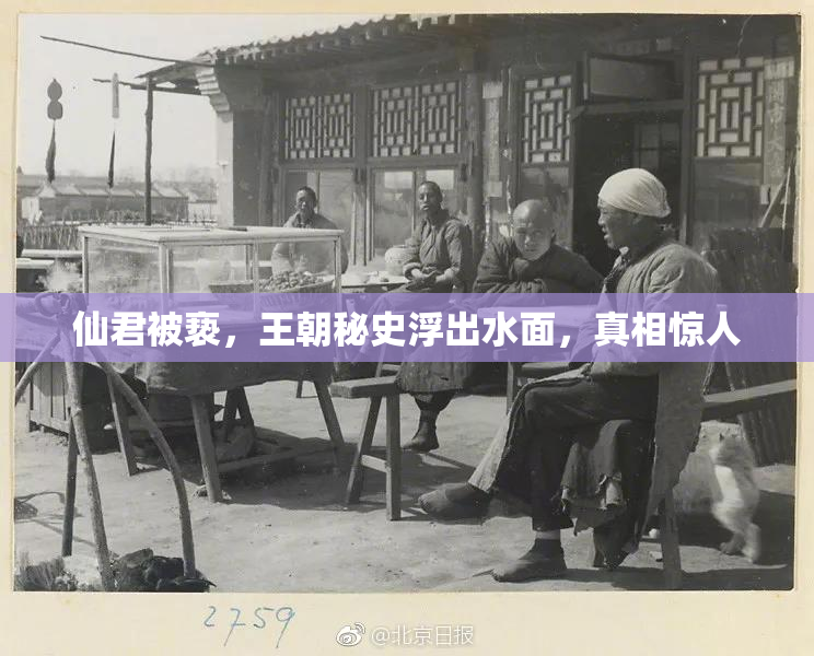 仙君被亵，王朝秘史浮出水面，真相惊人