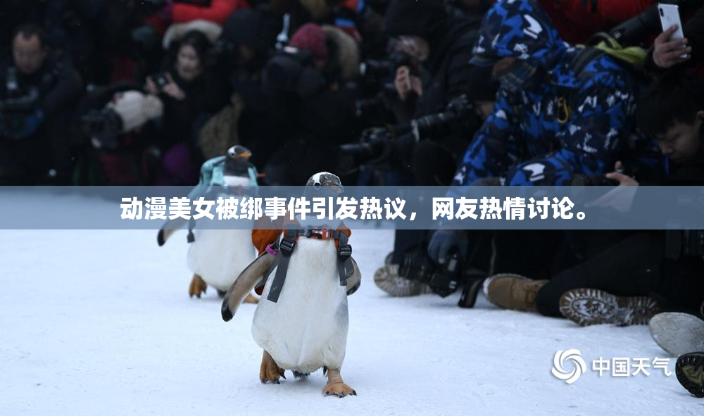 动漫美女被绑事件引发热议，网友热情讨论。