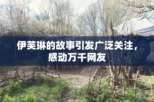 伊芙琳的故事引发广泛关注，感动万千网友