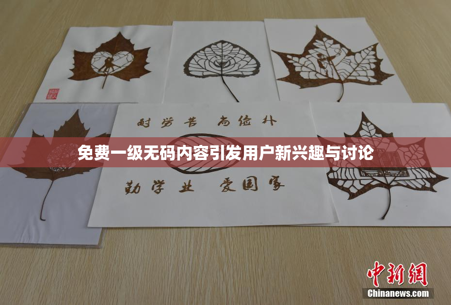 免费一级无码内容引发用户新兴趣与讨论