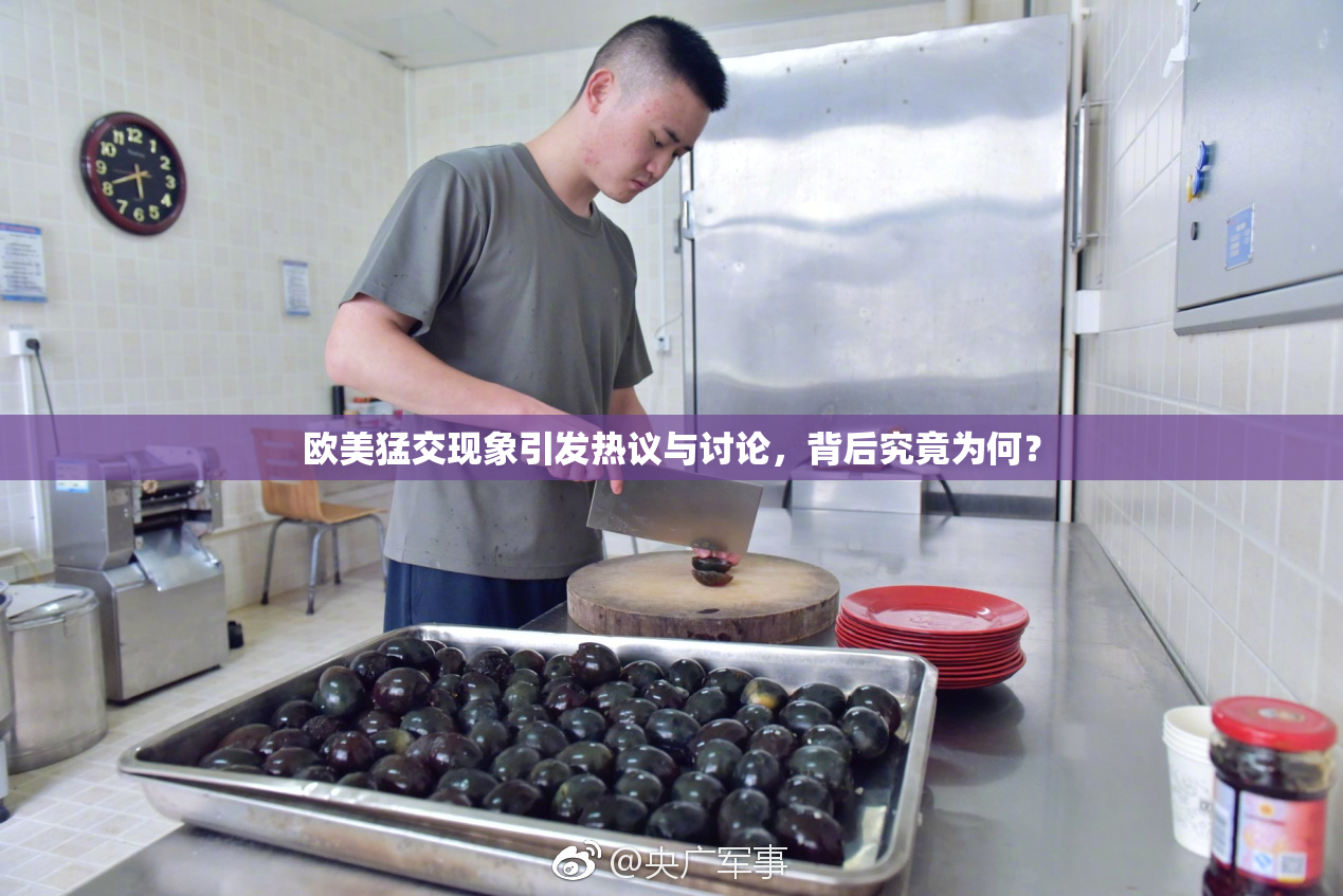 欧美猛交现象引发热议与讨论，背后究竟为何？
