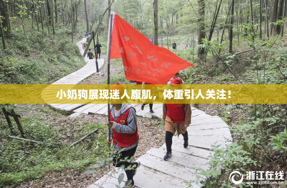 小奶狗展现迷人腹肌，体重引人关注！