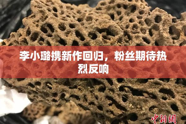 李小璐携新作回归，粉丝期待热烈反响