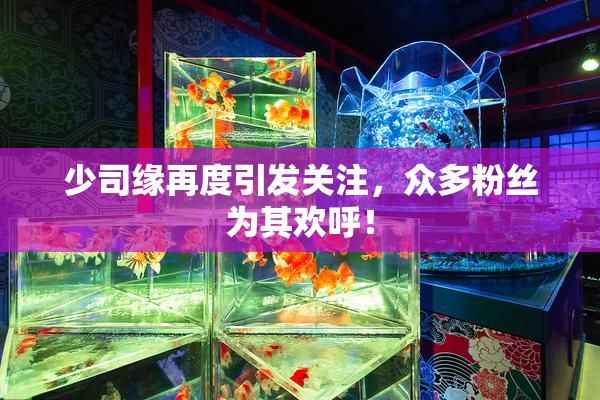 少司缘再度引发关注，众多粉丝为其欢呼！