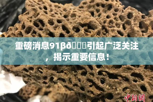 重磅消息91β🍆引起广泛关注，揭示重要信息！