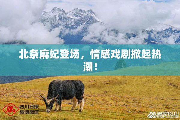 北条麻妃登场，情感戏剧掀起热潮！