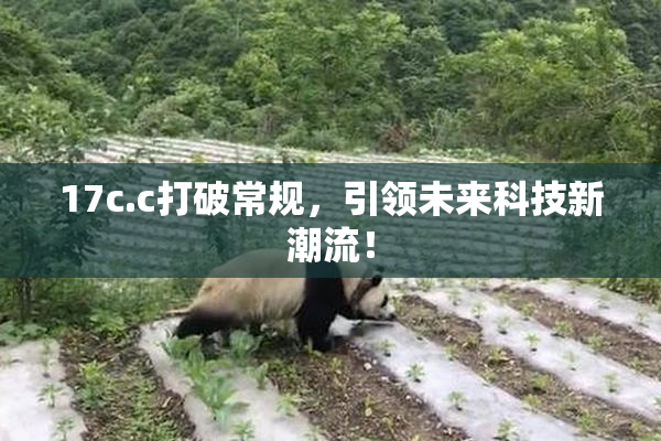 17c.c打破常规，引领未来科技新潮流！
