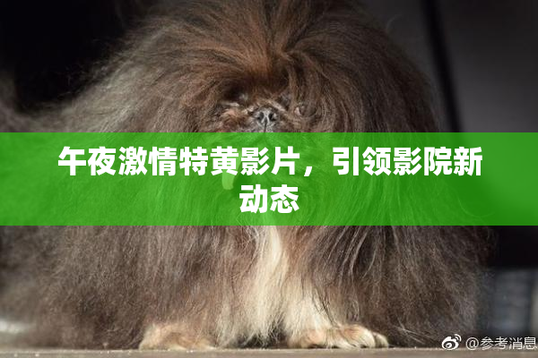 午夜激情特黄影片，引领影院新动态