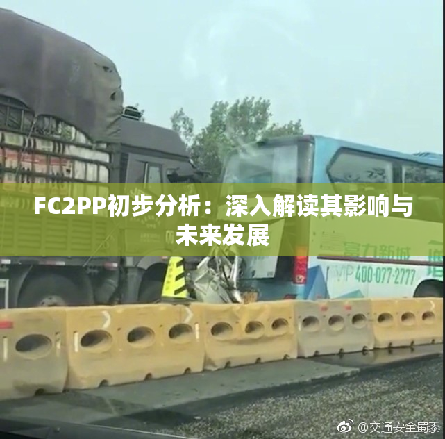 FC2PP初步分析：深入解读其影响与未来发展