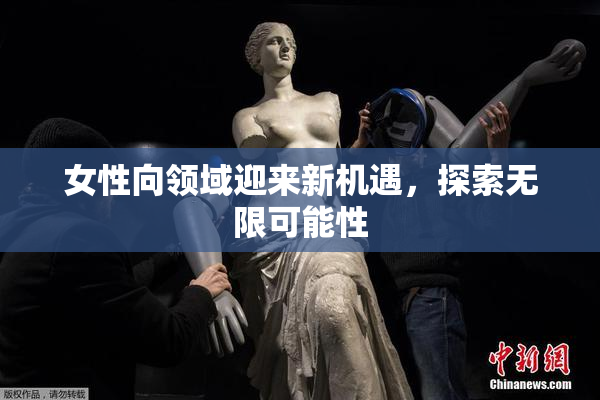 女性向领域迎来新机遇，探索无限可能性