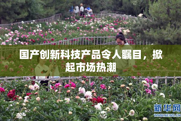 国产创新科技产品令人瞩目，掀起市场热潮