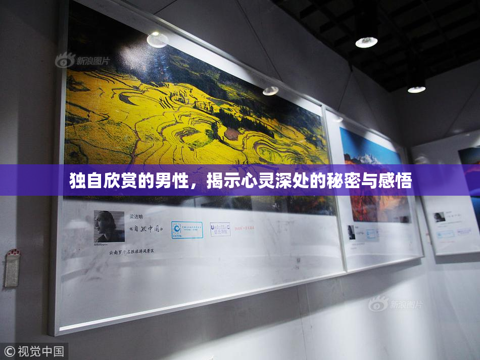 独自欣赏的男性，揭示心灵深处的秘密与感悟