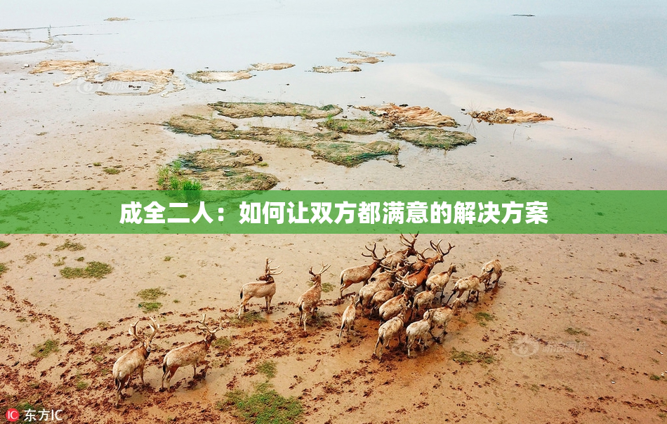 成全二人：如何让双方都满意的解决方案