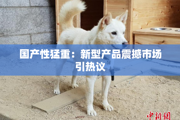 国产性猛重：新型产品震撼市场引热议