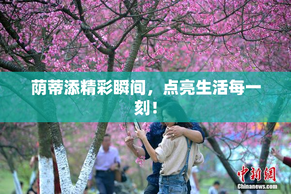 荫蒂添精彩瞬间，点亮生活每一刻！