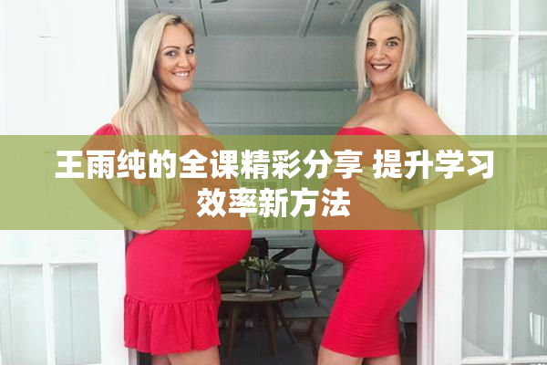 王雨纯的全课精彩分享 提升学习效率新方法