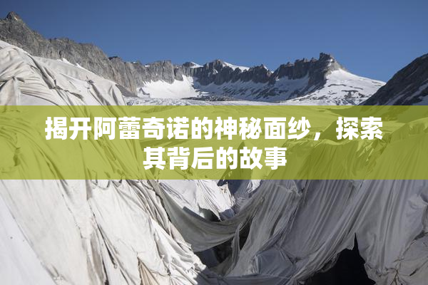 揭开阿蕾奇诺的神秘面纱，探索其背后的故事