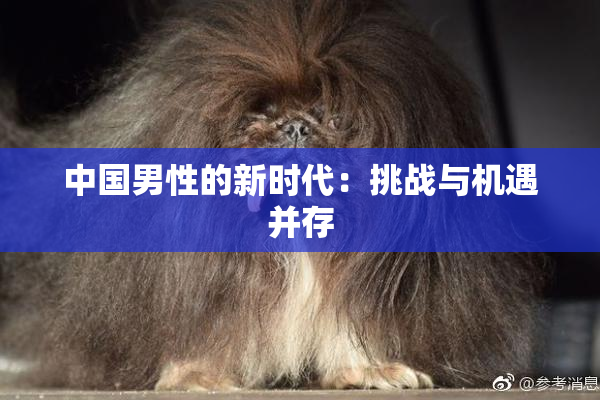 中国男性的新时代：挑战与机遇并存