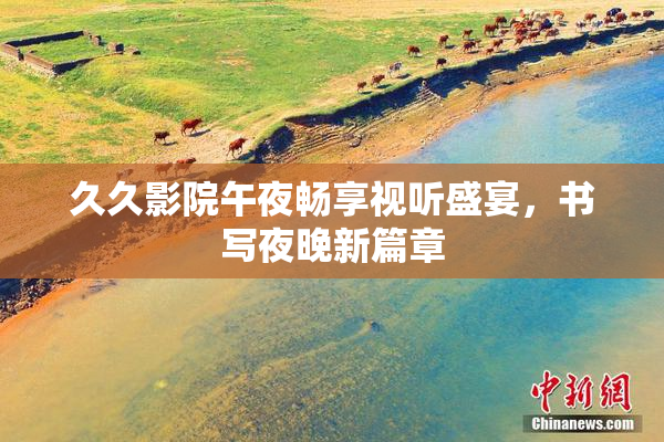 久久影院午夜畅享视听盛宴，书写夜晚新篇章