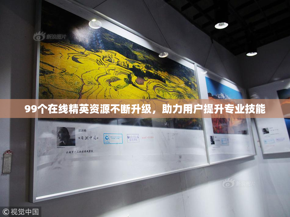 99个在线精英资源不断升级，助力用户提升专业技能