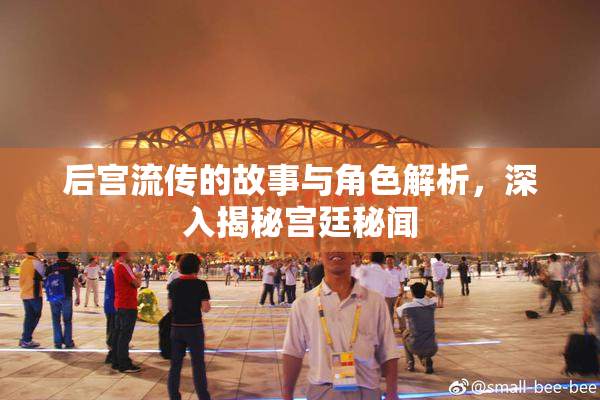 后宫流传的故事与角色解析，深入揭秘宫廷秘闻