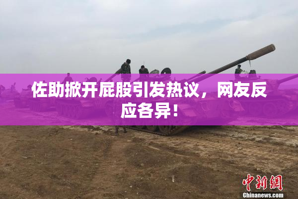 佐助掀开屁股引发热议，网友反应各异！