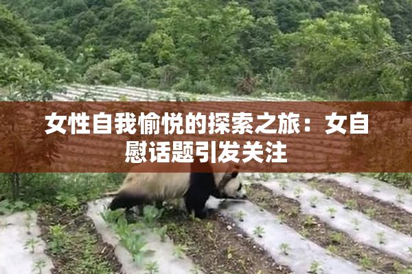 女性自我愉悦的探索之旅：女自慰话题引发关注
