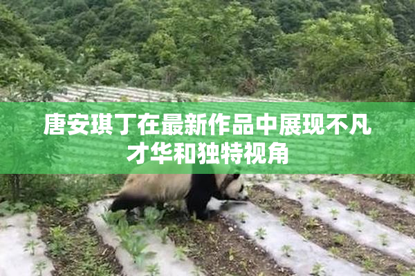 唐安琪丁在最新作品中展现不凡才华和独特视角