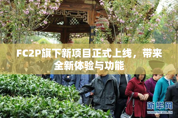 FC2P旗下新项目正式上线，带来全新体验与功能
