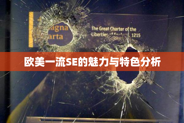 欧美一流SE的魅力与特色分析
