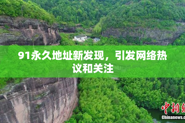 91永久地址新发现，引发网络热议和关注