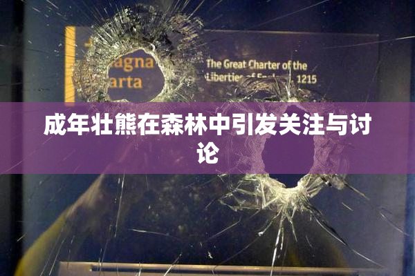 成年壮熊在森林中引发关注与讨论