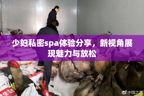 少妇私密spa体验分享，新视角展现魅力与放松
