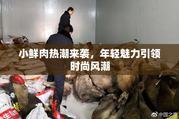 小鲜肉热潮来袭，年轻魅力引领时尚风潮