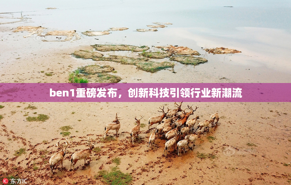 ben1重磅发布，创新科技引领行业新潮流