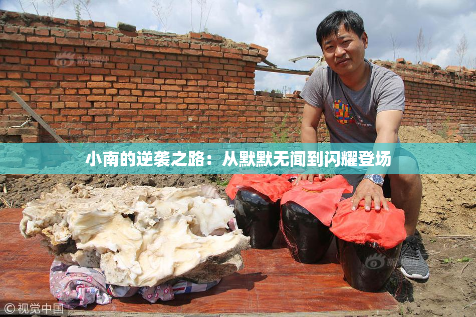 小南的逆袭之路：从默默无闻到闪耀登场