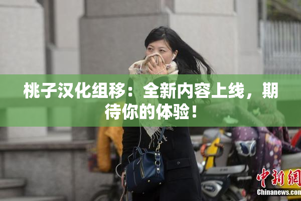 桃子汉化组移：全新内容上线，期待你的体验！