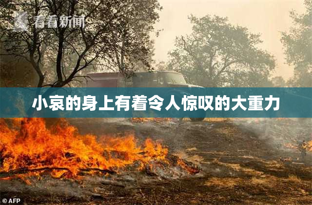 小哀的身上有着令人惊叹的大重力