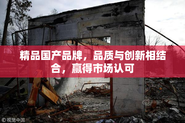 精品国产品牌，品质与创新相结合，赢得市场认可